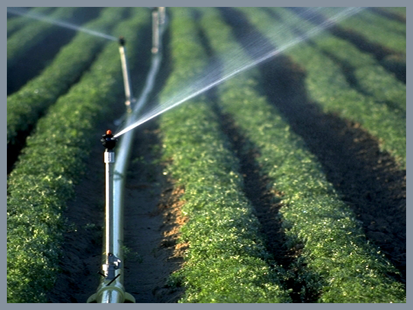 一个人不到一天时间灌溉1000亩土地,并且可以实现"水,肥,药"一体化